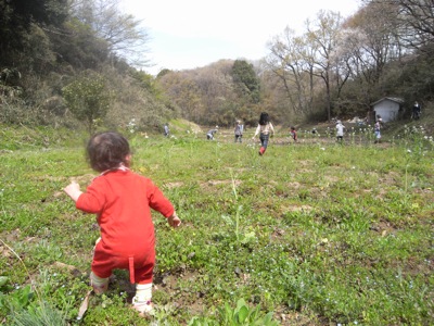 どんぐり農園の畑にはいろんな草が生え、赤ちゃんは遊ぶのに大忙しでした