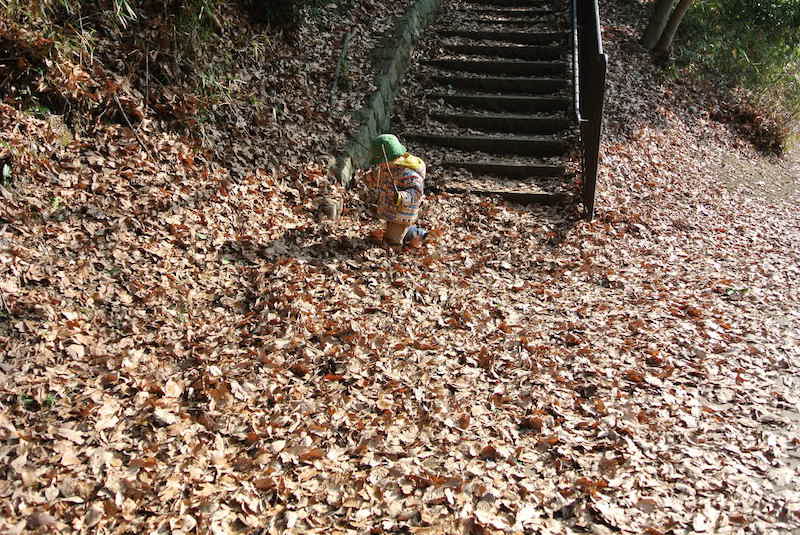 ここにも落ち葉がいっぱい！この日の目的地はこの階段の上！！ 階段を上っていくとまた違った雰囲気の空間が広がっていました