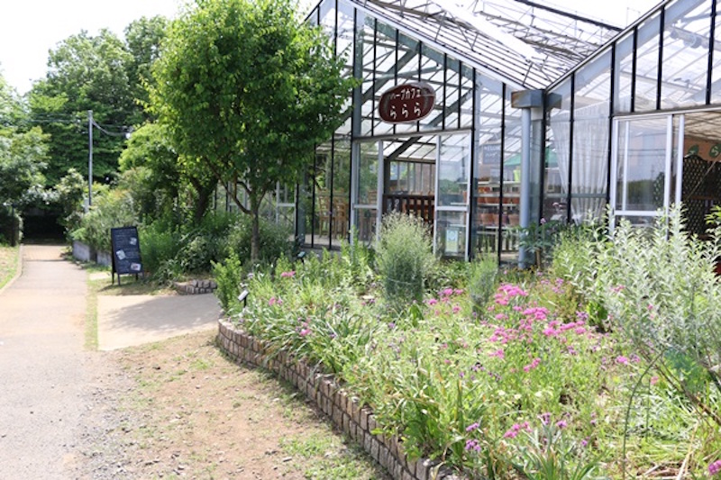 建物の前には、多種多様なハーブたちが咲き乱れている。カフェのある大きな温室を中心に、右手に苗を栽培している温室、左手にはハーブガーデンがある