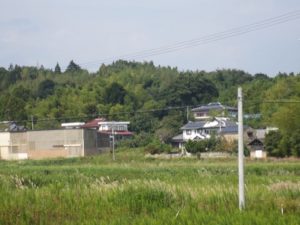 かつて豊かに稲穂が実っていた田んぼは、荒れ放題になっていた（写真提供：井上仁さん）