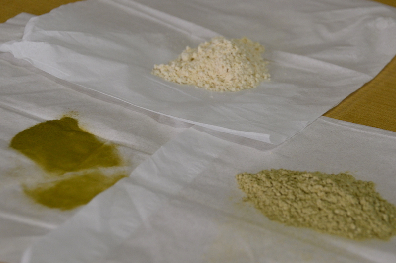 麹菌（もやし）。左の濃い緑が麦用。右の二種は米用