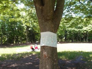 「さんぽのわっ」が開かれている日には、けやきの木に旗がかかっている