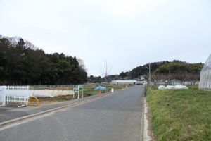 黒川のお気に入りのお散歩道。この道をすすむと右側にハウスがみえてくる