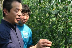おいしいトマトの料理法、以前料理で使った野菜の感想……料理人と生産者の会話は尽きない。