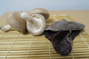 左からシイタケとキクラゲ。薬剤は使わず栽培されている