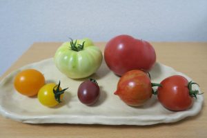 手前右の赤いミニトマトから時計回りに、フルティカ、ベネチアンサンセット、バイオレット、イエローキャロル、シンディーオレンジ、ホワイトパール、ごほうび。白いホワイトパールはトマト独特の酸味があり、勝太さんが大好きなフルティカは野菜と思えないくらい甘い
