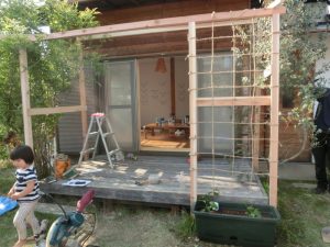 水は、プランターの下から出てくるまでたっぷりとあげる。水が通るということは空気も通るということで、根に酸素を供給することができる
