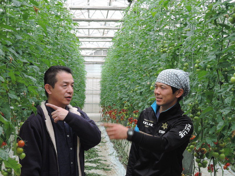山本泰隆さんは就農10年、2児の父でもある。学者肌で、トマトの栽培技術について語り始めたら止まらない。「やっちゃんは、本当にすごい」と、椿さんも一目おく存在