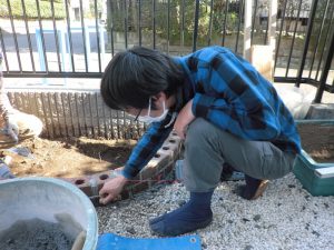 土に還る固化材を使い、花壇を積み上げる作業を黙々とこなす