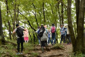 寺家ふるさと村の緑を堪能しながら、山道をテクテクと登る。けっこうな勾配があり息切れする人もちらほら