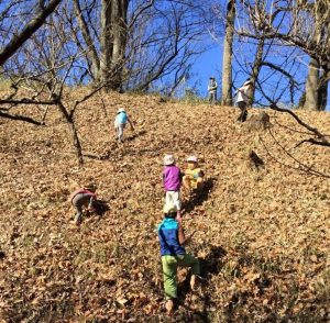 大きい子だと3時間、小さい子でも2時間以上は毎日外遊びの時間があります。