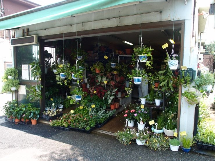 ますます植物が好きになる園芸店「たかはし園芸」 | 森ノオト