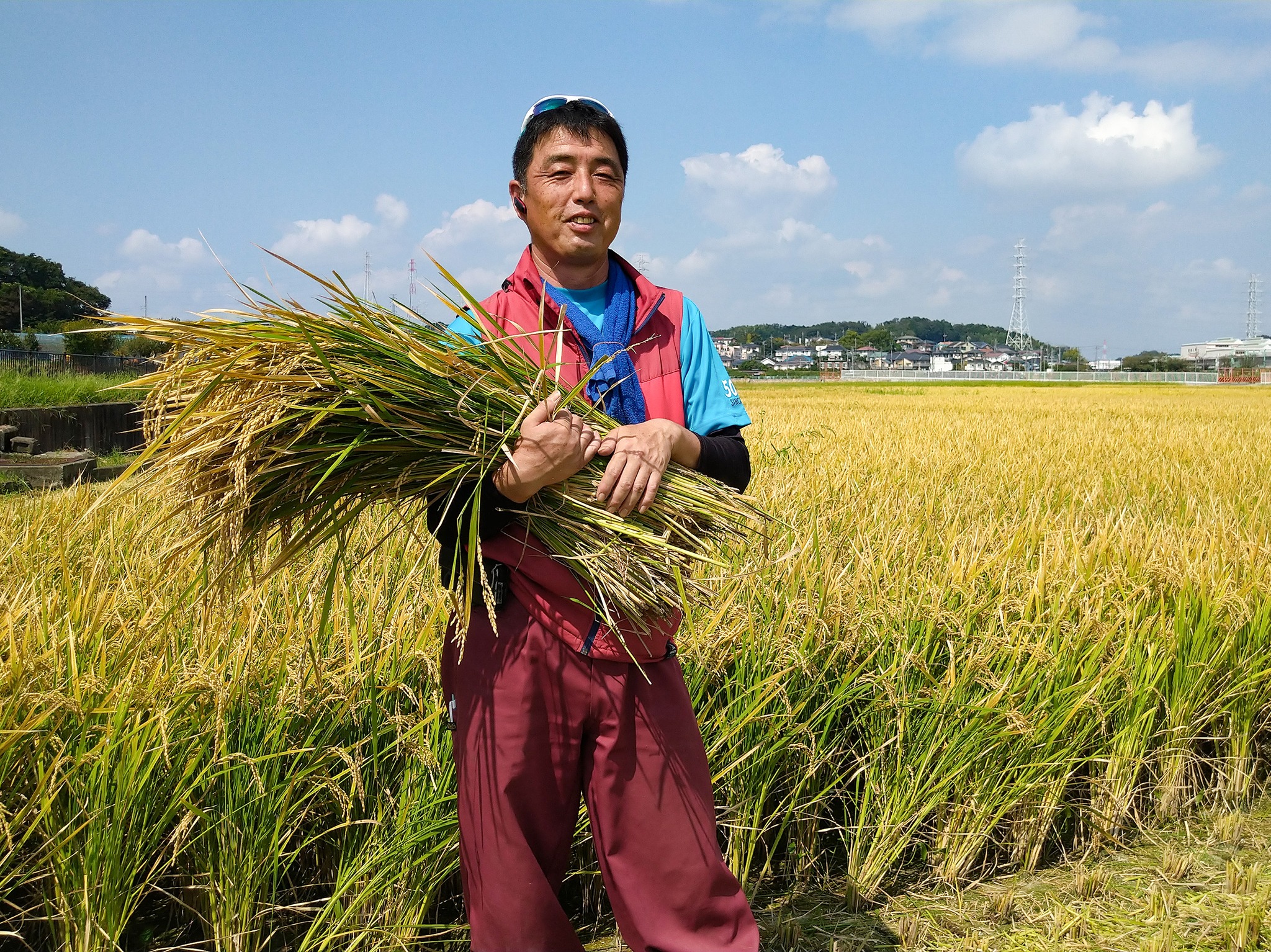 横浜の米を食べようー地元に田んぼがあり続けるためにはー 三澤総合農場・三澤元芳さん、芳夫さん | 森ノオト